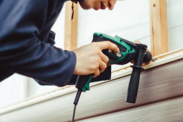 Best Siding for New Construction  in Chisholm, MN